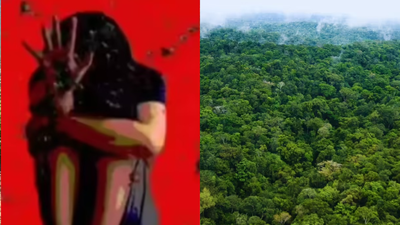 1772946532 representative image.jpg