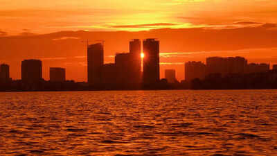 1773041625 image canva.jpg