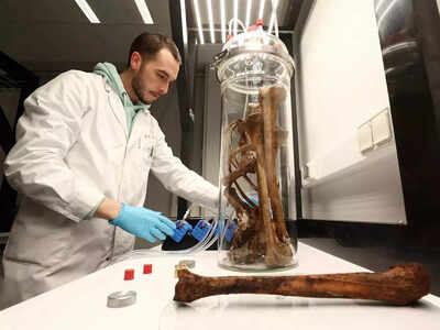 1773090108 unnamed file.jpg