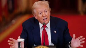 1773446152 untitled design 23.jpg