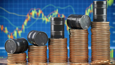 1773485625 unnamed file.jpg