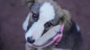 1773505168 file photo.jpg