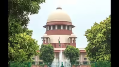 1773714146 untitled design 47.jpg