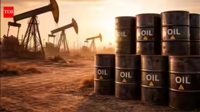 1773915245 representative image.jpg