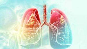 1774030116 unnamed file.jpg