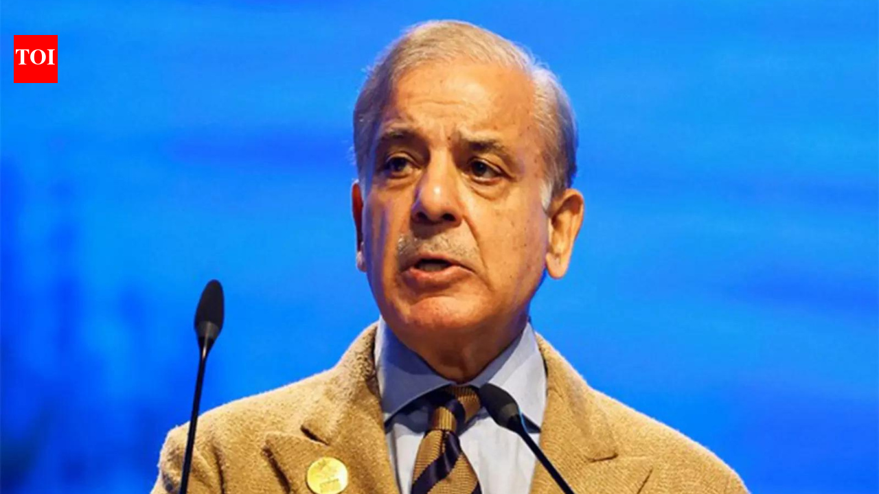 1774087814 photo.jpg