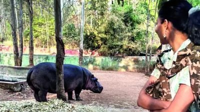 Dr sameeksha reddy posted a photo with the hippo in feb.jpg