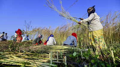 Image 2026 03 02t200311018.jpg