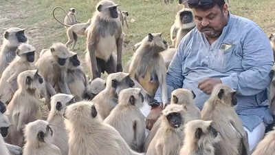 Image swapnil soni.jpg