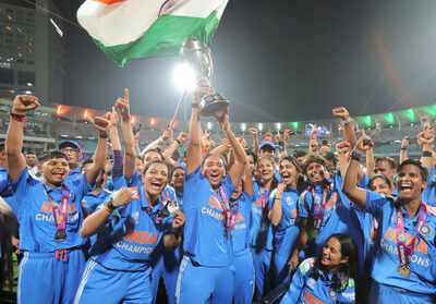 India v south africa icc women39s cricket world cup india 2025 final.jpg