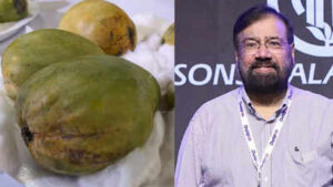 Kohitur mango the rare and expensive indian fruit that even billionaire harsh goenka says he cant af.jpeg