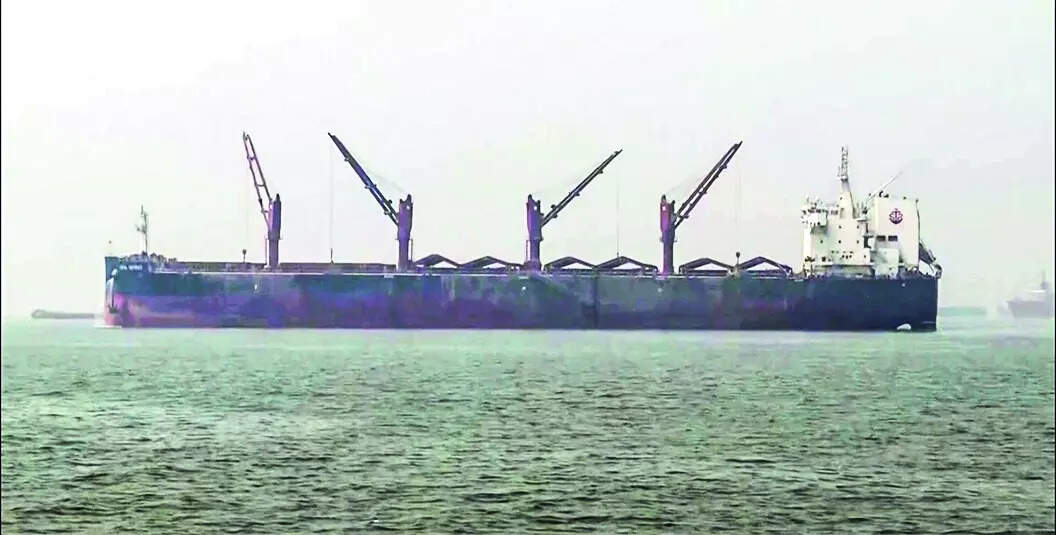 Msid 129724984imgsize 48562.cms .jpeg