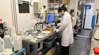 Scientists turn plastic waste into vinegar using only sunlight at the university of waterloo.jpg