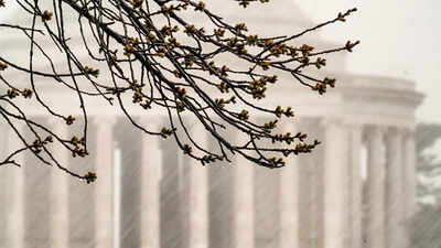 Washington dc area schools shift to early dismissal and remote learning amid severe storm threat.jpg