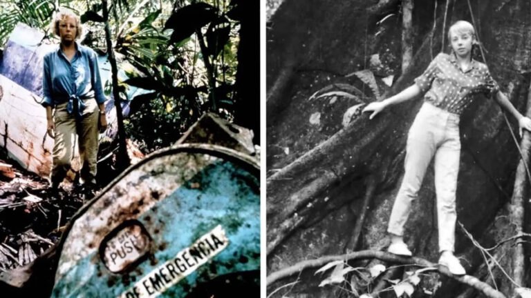 How this teenager survived a plane crash – injured, alone and in harsh land