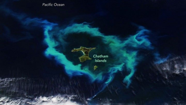 Nasa satellite spots gleaming halo around New Zealand’s Chatham Islands