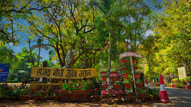 Samrat Choudhary cabinet removes Sanjay Gandhi’s name from Patna zoo, dairy institute