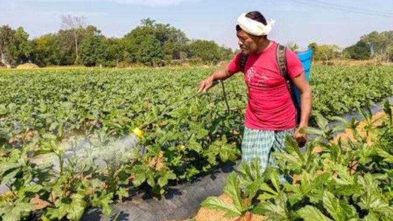 Monthly domestic urea output back to last year’s levels